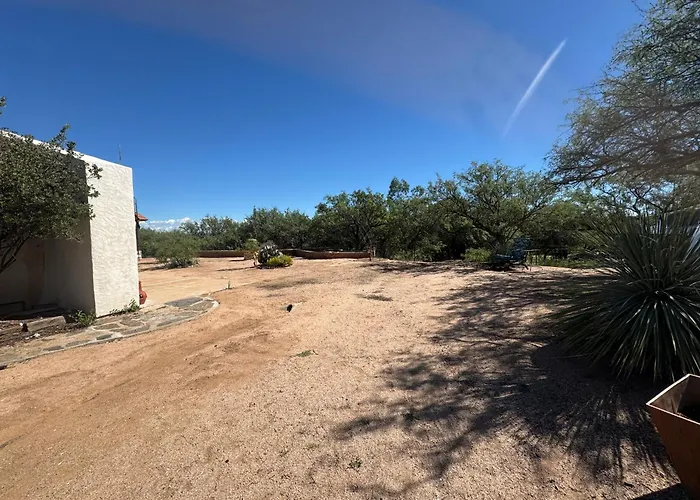 Calle Tortuga Farm