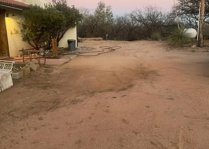Calle Tortuga Farm Benson