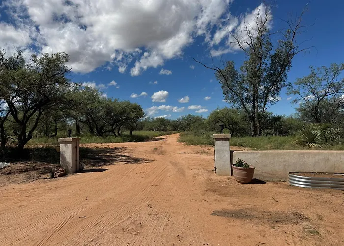 Calle Tortuga Farm